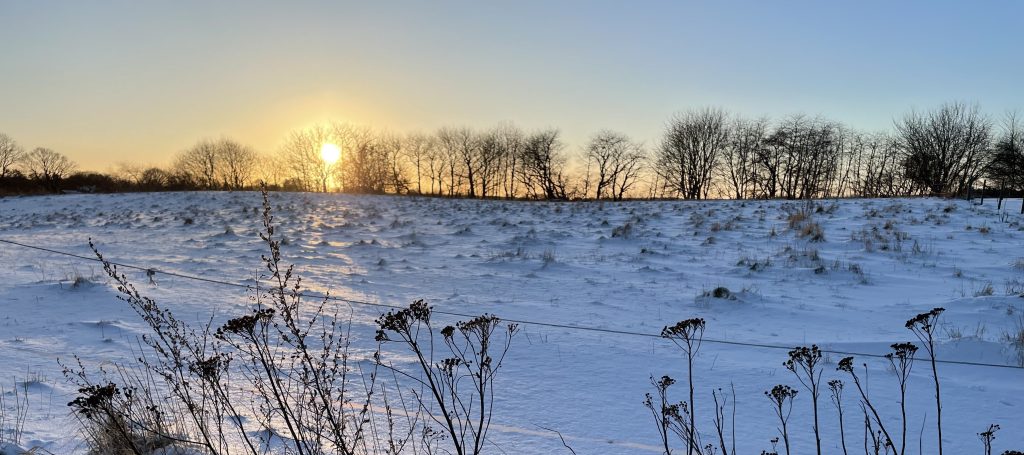 Numerologisk Energiprognose for år&nbsp;2024