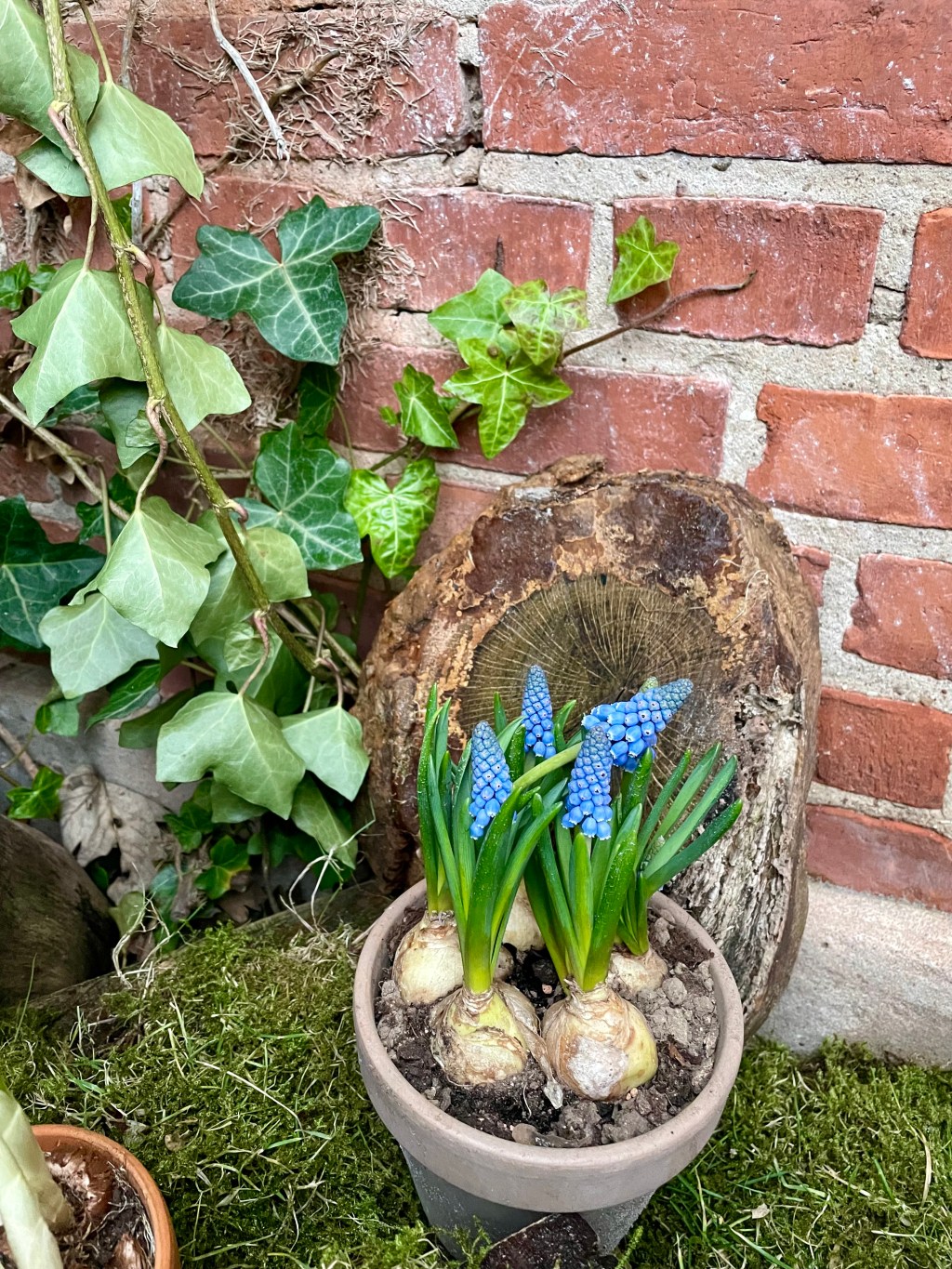 Numerologisk Energiprognose for Marts måned&nbsp;2024