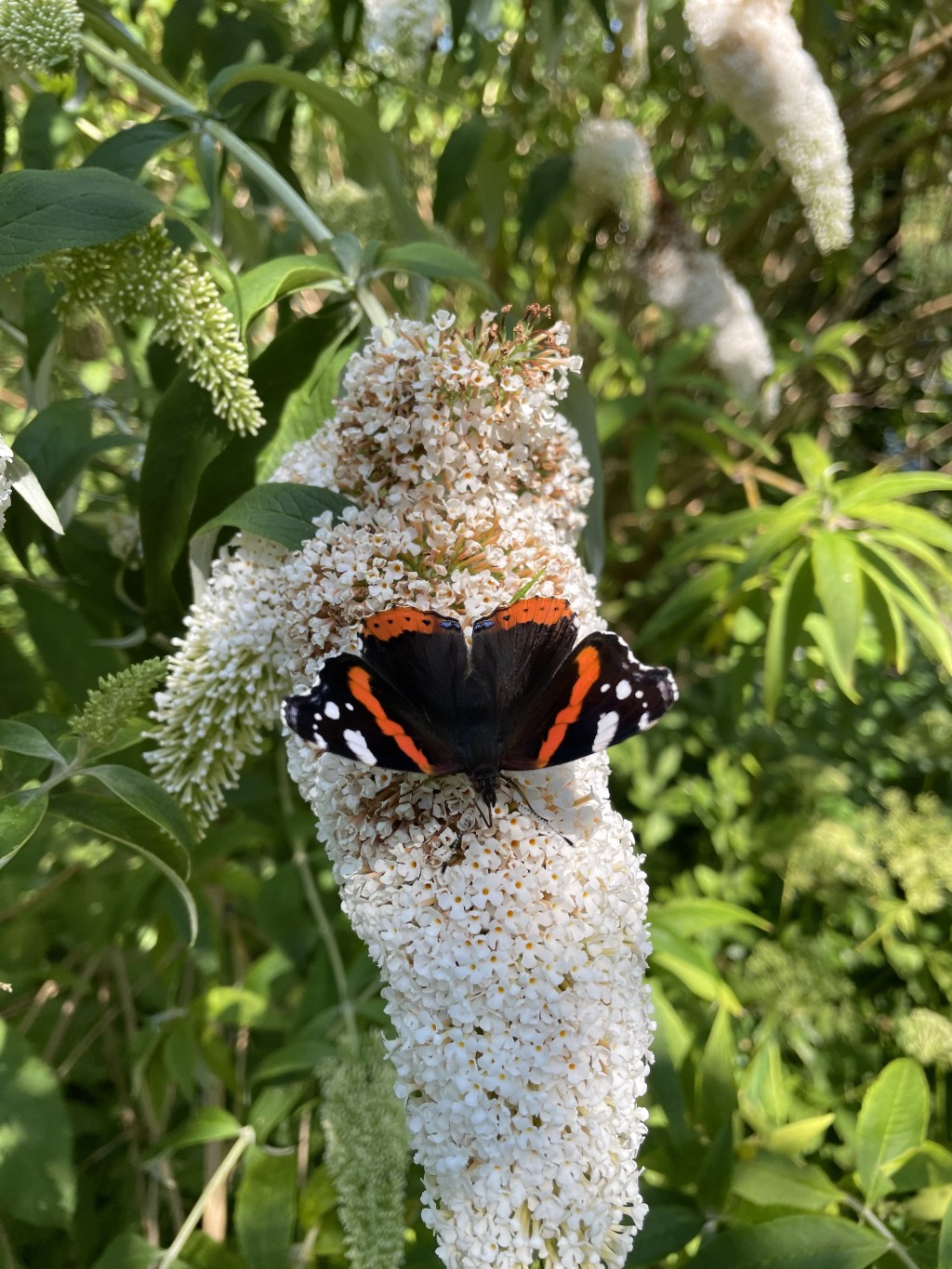 Numerologisk Energiprognose for September&nbsp;måned