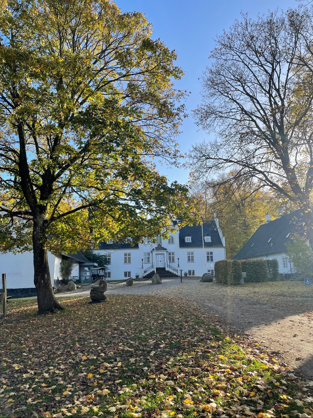 Numerologisk Energiprognose for November&nbsp;måned